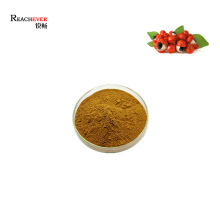 Organic 100% Natural Guarana Seed Extract Powder with 22% Caffeine